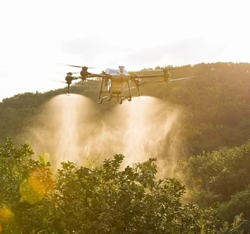 63ee75bb7c05d9532474440ffb8765b8