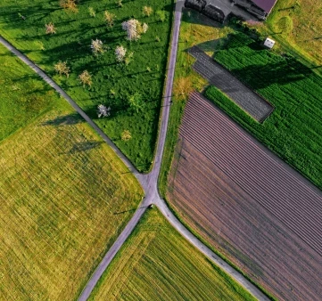 ricardo gomez angel TbwnUGV4kok unsplash