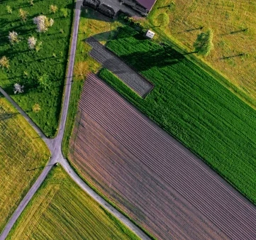 ricardo gomez angel TbwnUGV4kok unsplash